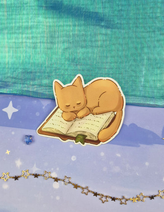 Book Kitty Transparent Sticker
